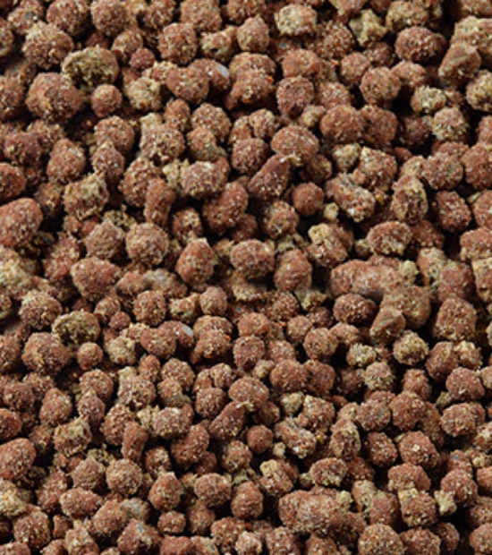 SPIC NPK Granulated Fertilizers [12 12 12]