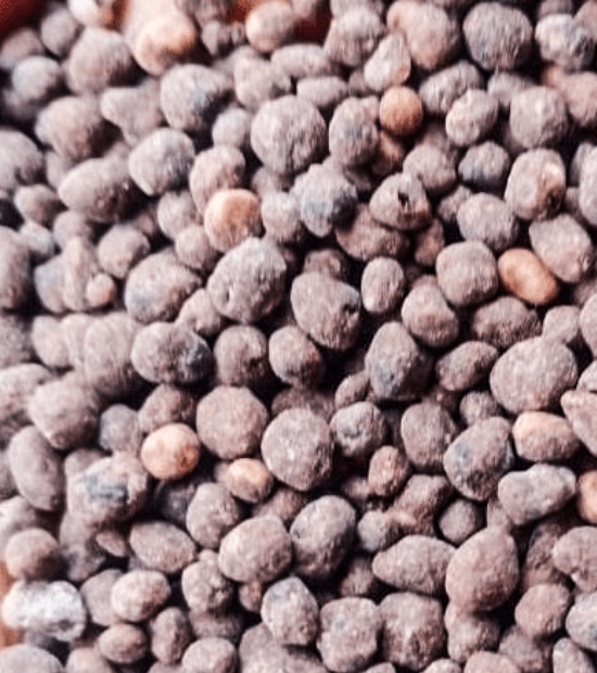 SPIC NPK Granulated Fertilizers [16:12:16]