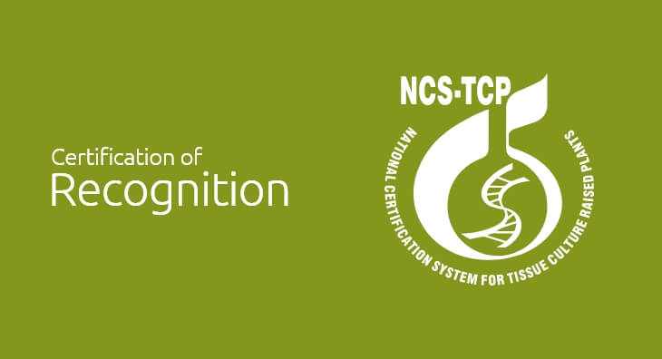 Certification of Recognition